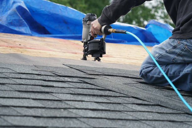 Best Flat Roof Repair Services  in North York, PA